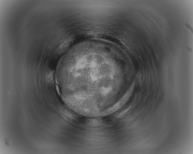 X0000091230286200708301523