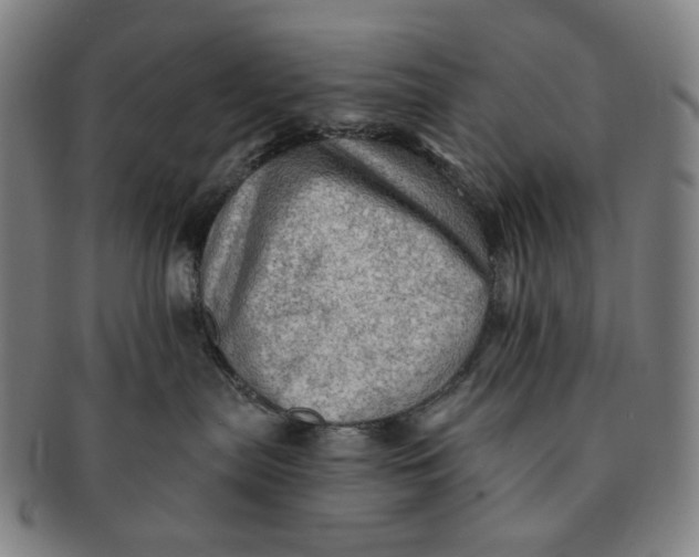 X0000091230287200708301523