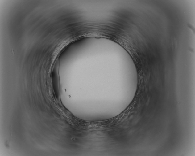 X0000091230289200708301522