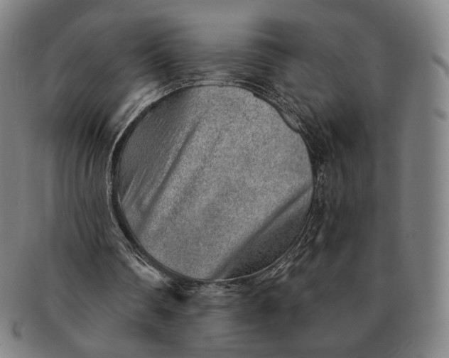 X0000091230290200708301522