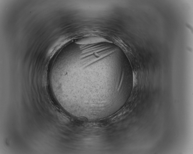 X0000091230291200708301522