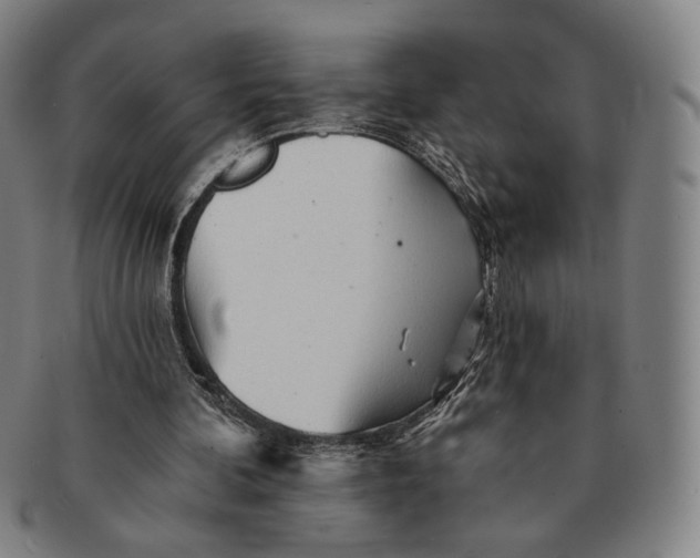X0000091230292200708301522