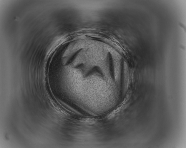 X0000091230293200708301522