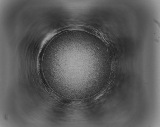 X0000091230294200708301522