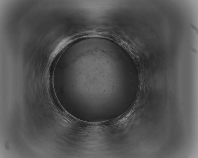 X0000091230295200708301522