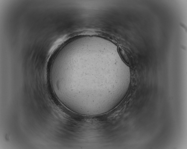 X0000091230296200708301522