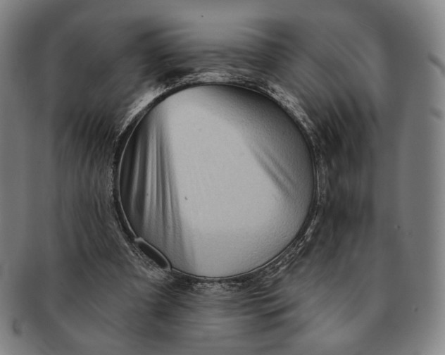 X0000091230297200708301522