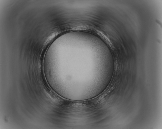 X0000091230298200708301522