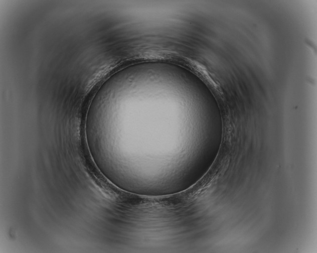 X0000091230299200708301522