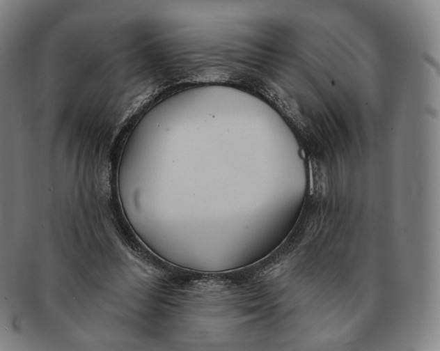 X0000091230300200708301522
