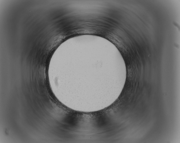 X0000091230302200708301522