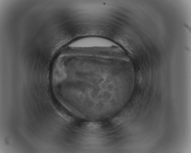 X0000091230303200708301522