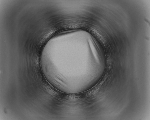 X0000091230305200708301522