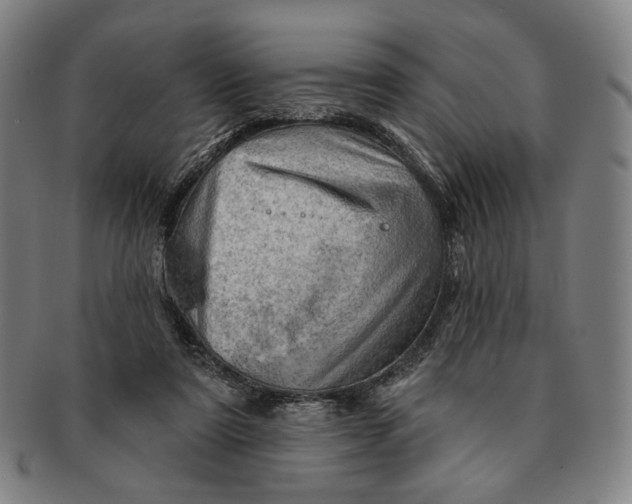 X0000091230307200708301522