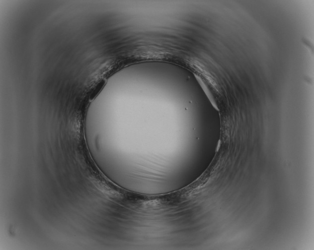 X0000091230309200708301522