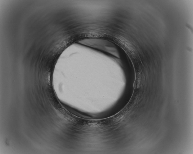 X0000091230310200708301522