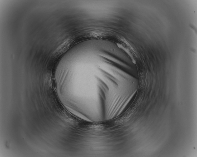 X0000091230313200708301522
