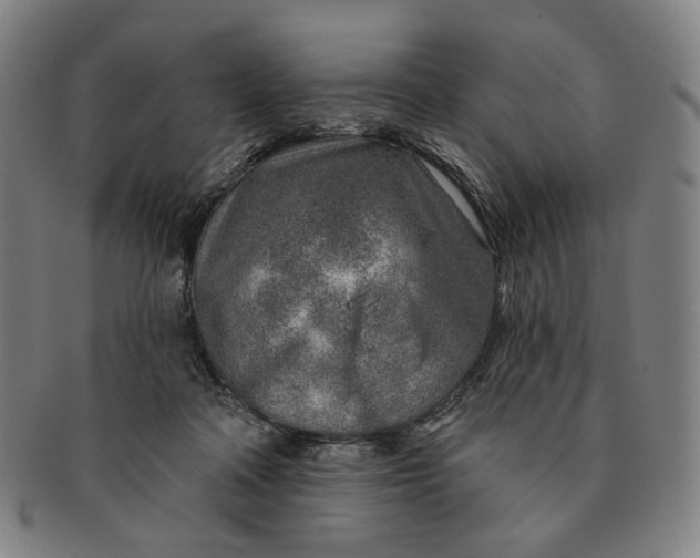 X0000091230314200708301522