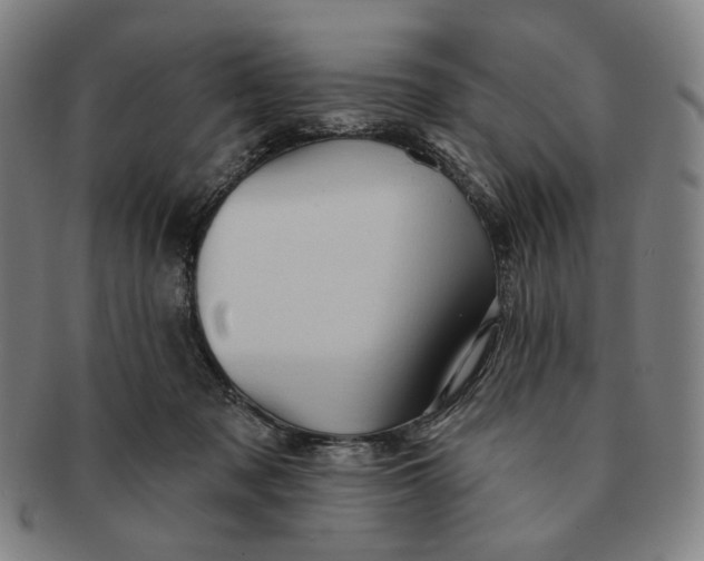 X0000091230317200708301522