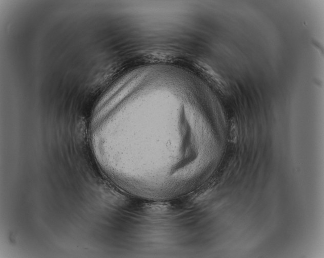 X0000091230318200708301522