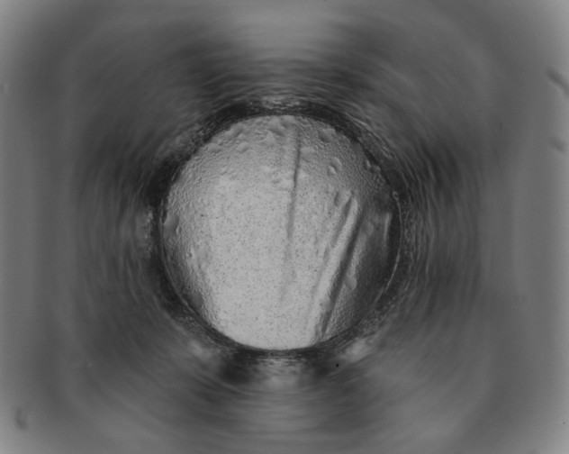 X0000091230319200708301522