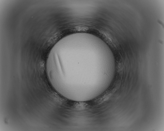 X0000091230321200708301522