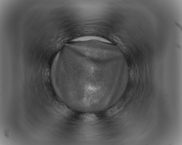 X0000091230322200708301522