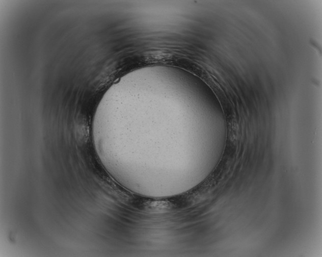 X0000091230324200708301522