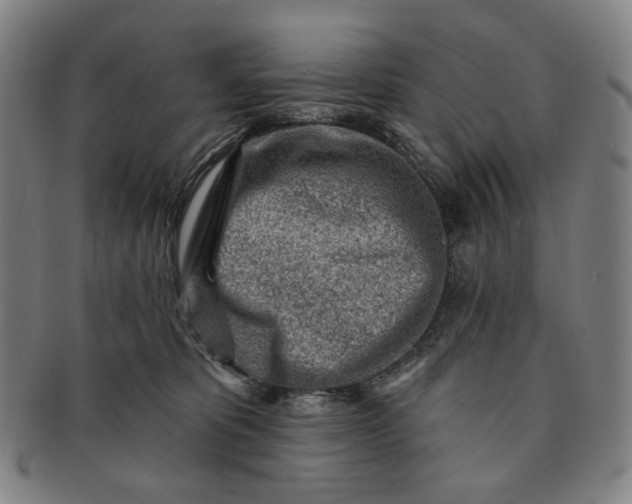 X0000091230325200708301522