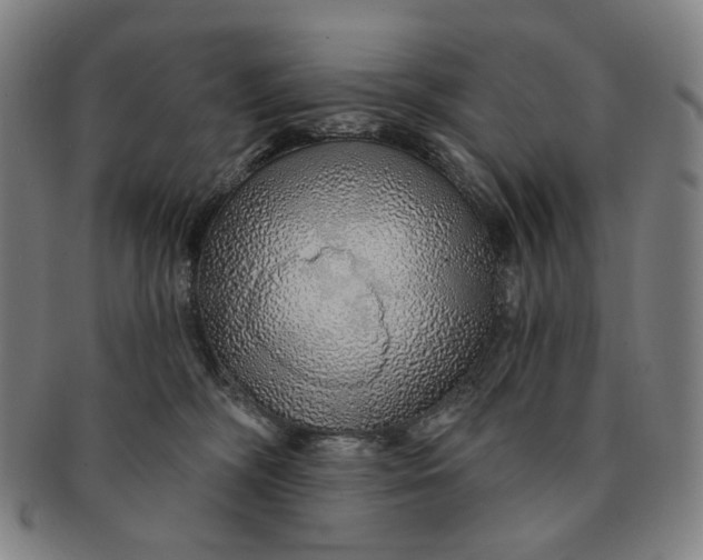 X0000091230326200708301522