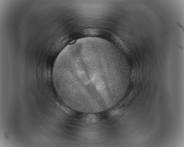 X0000091230330200708301522