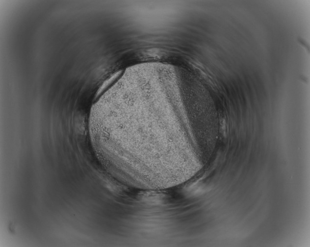 X0000091230331200708301522