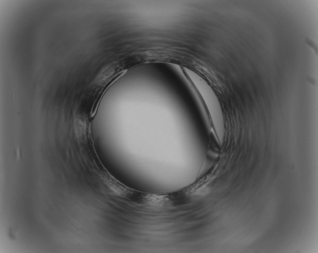 X0000091230333200708301521