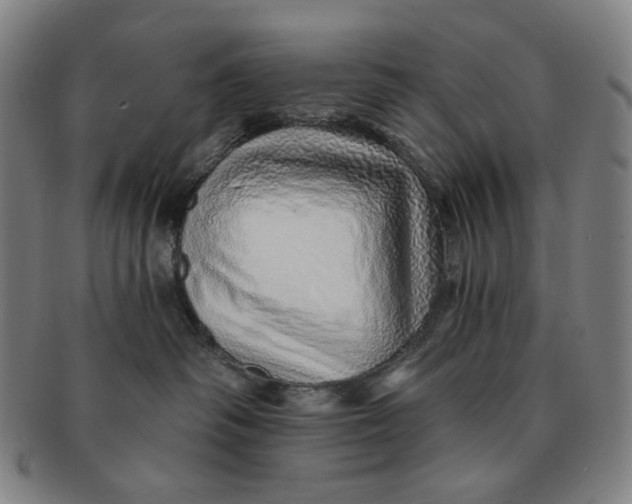 X0000091230334200708301521