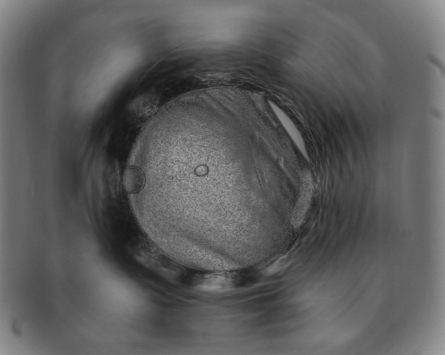 X0000091230335200708301521