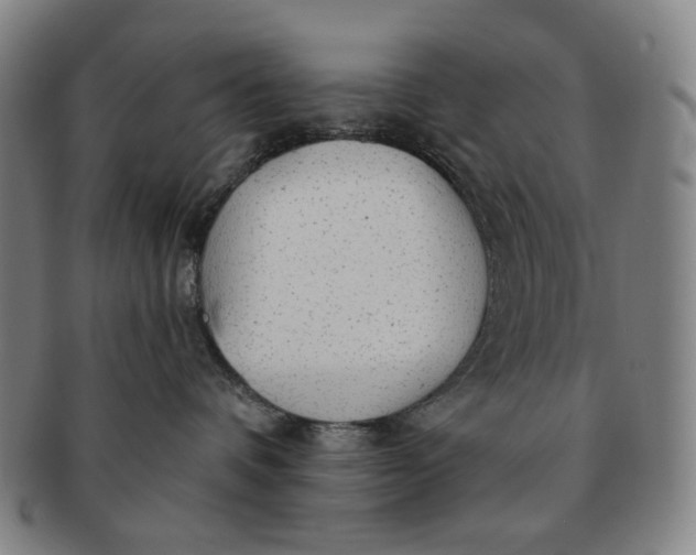 X0000091230336200708301521