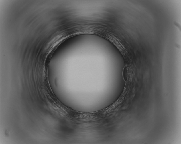 X0000091230338200708301521