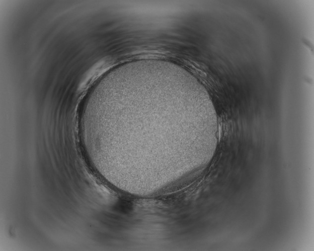 X0000091230339200708301521