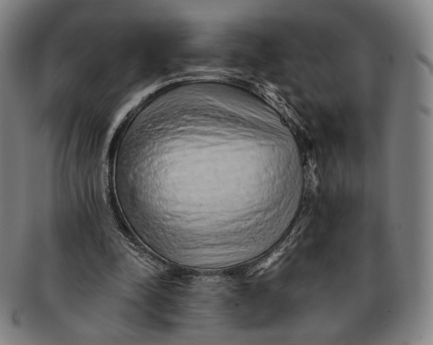 X0000091230342200708301521