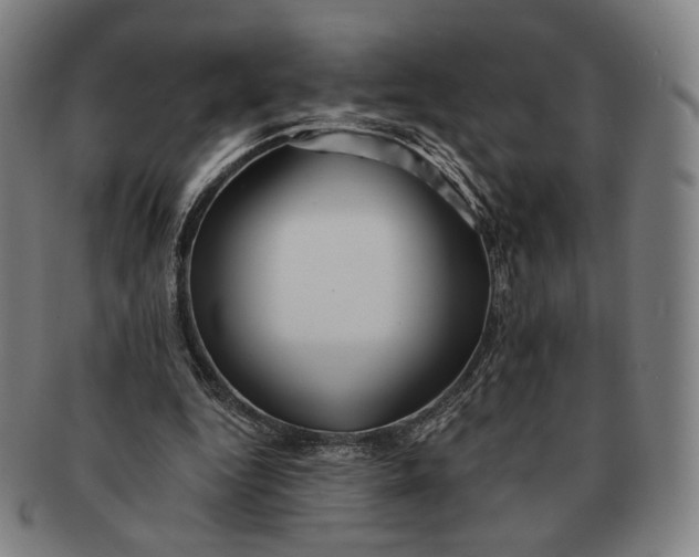 X0000091230344200708301521