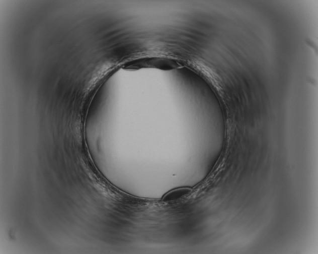 X0000091230345200708301521