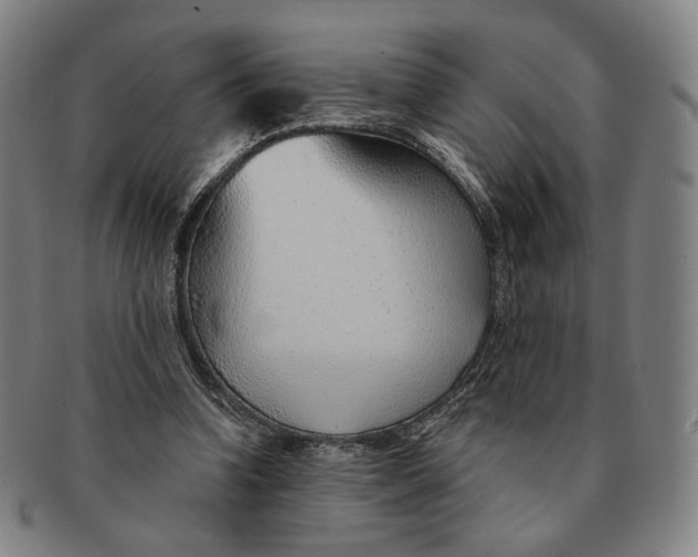 X0000091230346200708301521