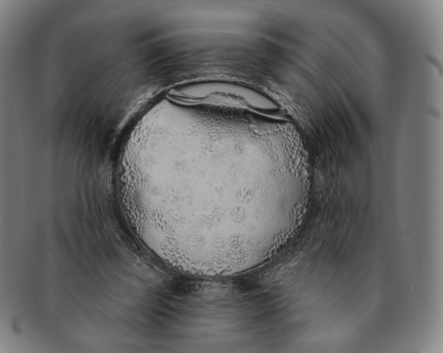 X0000091230347200708301521