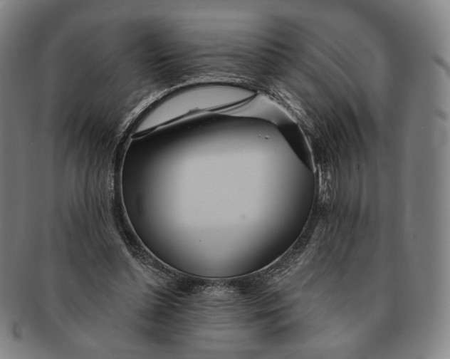 X0000091230348200708301521