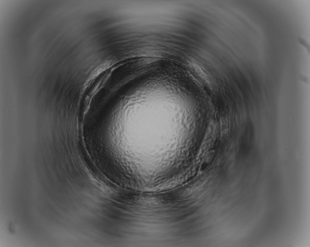 X0000091230349200708301521