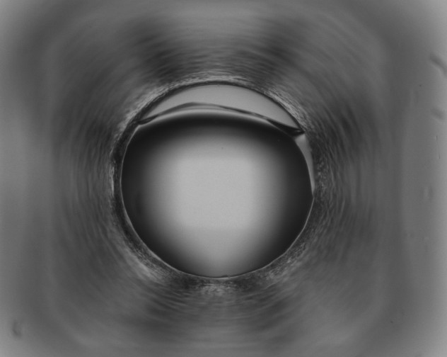 X0000091230350200708301521
