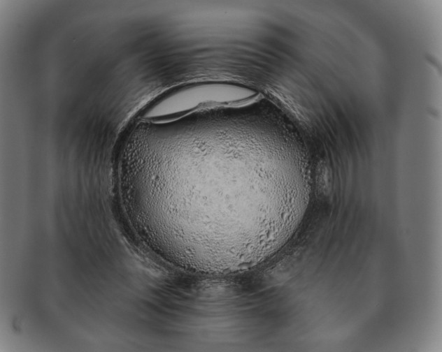X0000091230351200708301521