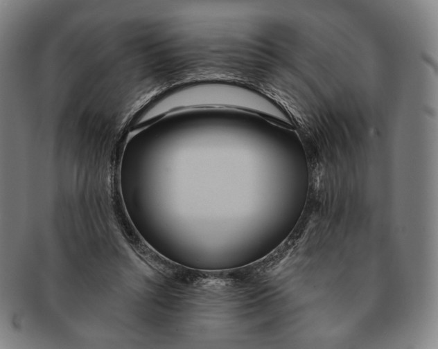 X0000091230352200708301521