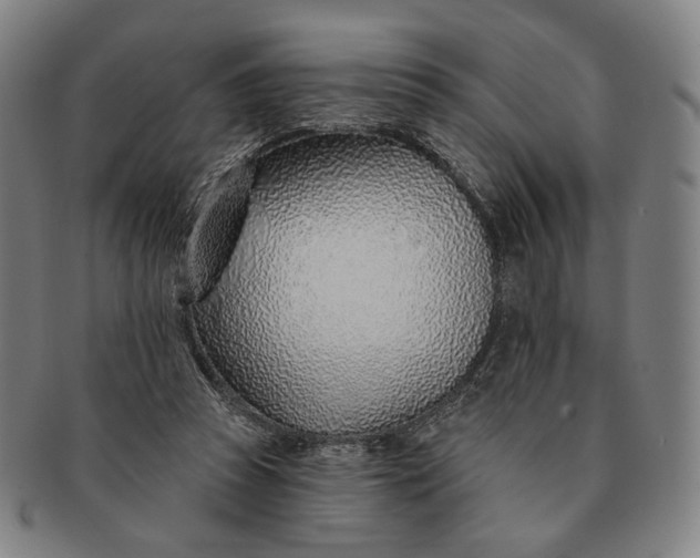 X0000091230353200708301521