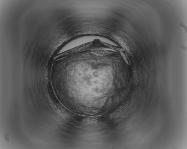 X0000091230354200708301521